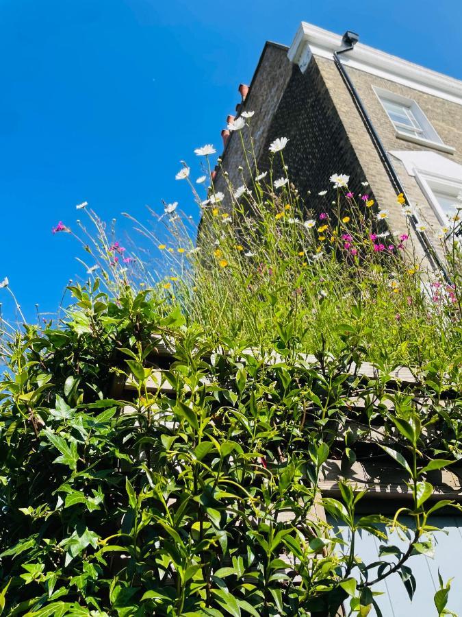 Camden Town Garden Cabin Londra Dış mekan fotoğraf